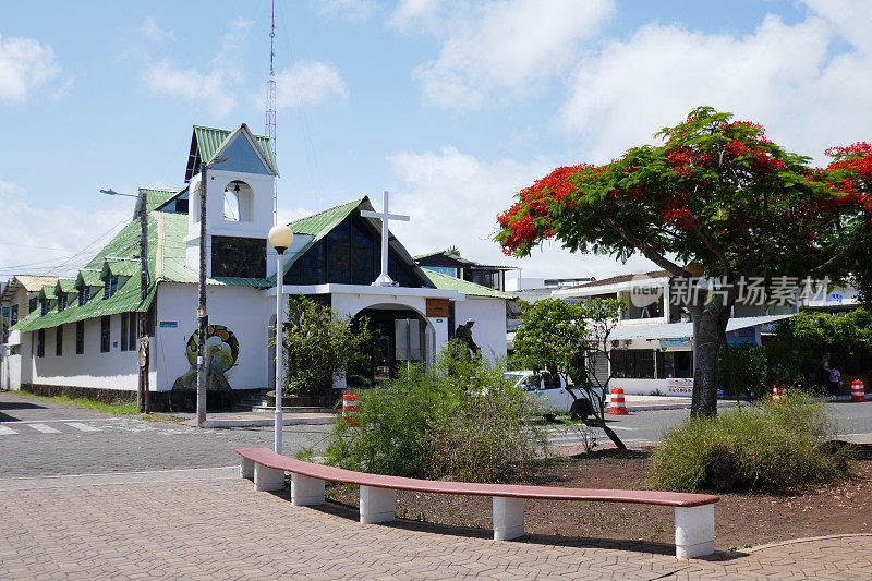 Ayora港，Santa Cruz，加拉帕戈斯群岛